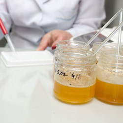 Laboratory analysis of samples